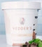 Mint Chip